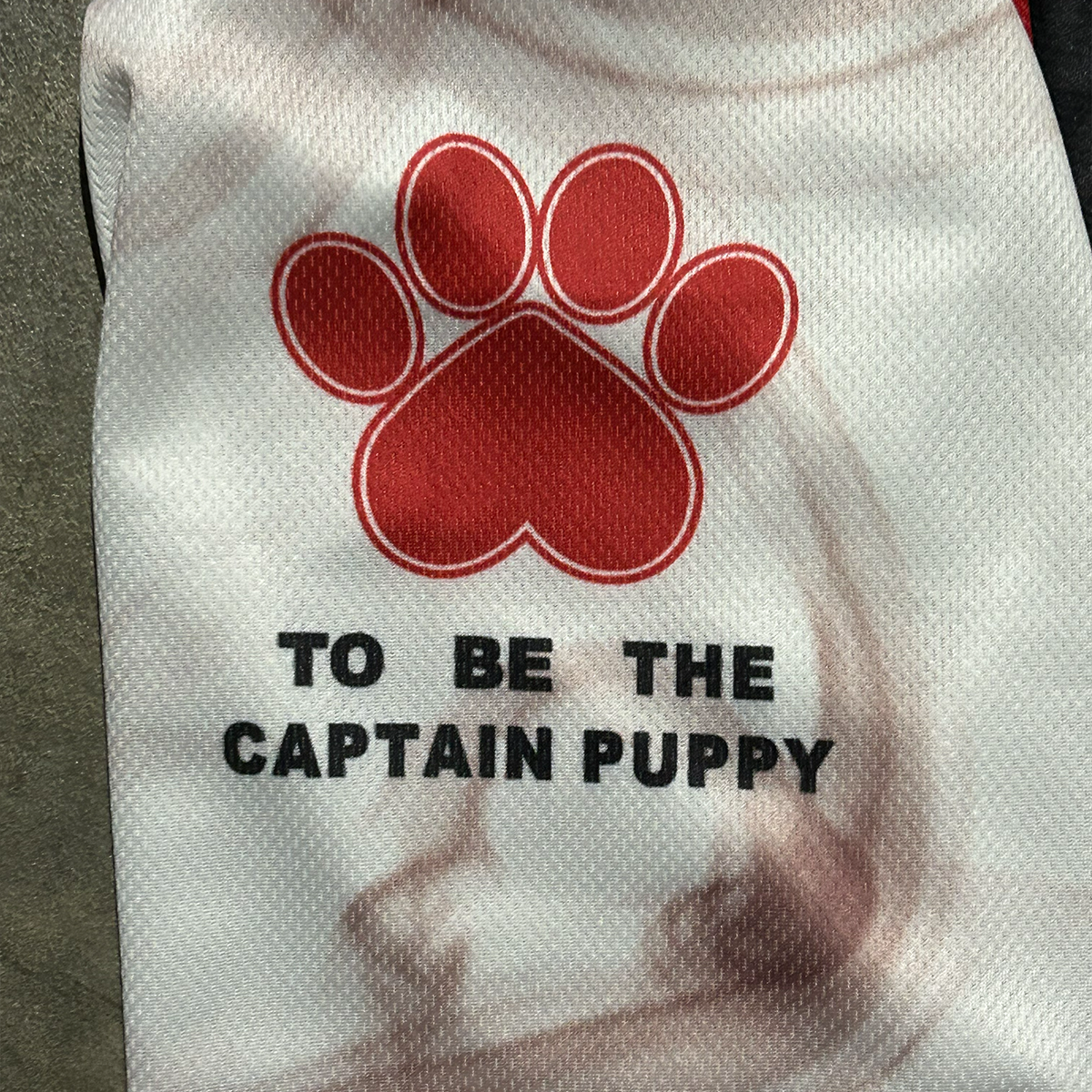 Kitten Print Jersey